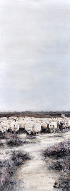 Annabelle Lanfermeijer + Drentse heide schapen